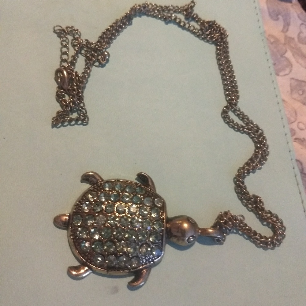 Long Chain Turtle Necklace